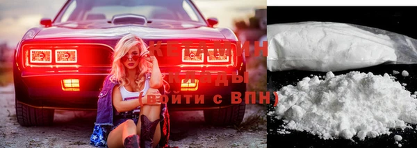 сатива Новозыбков