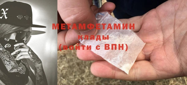 сатива Новозыбков
