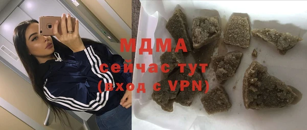 сатива Новозыбков