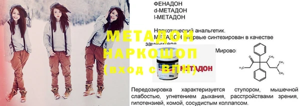 сатива Новозыбков