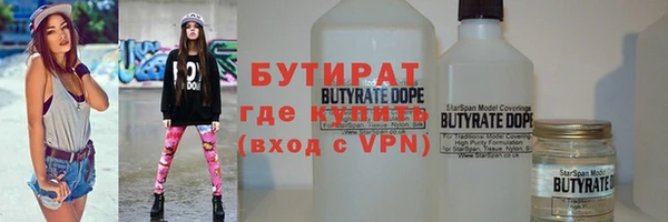 сатива Новозыбков