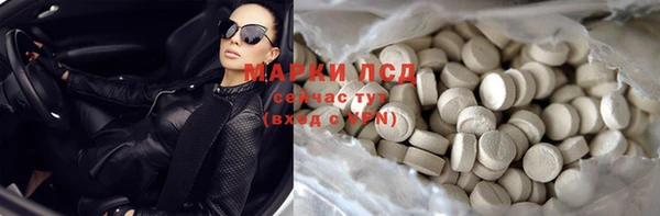 шишки Абинск