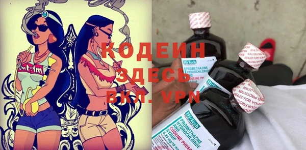 твердый Новодвинск
