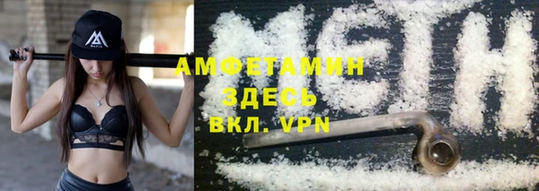 сатива Новозыбков