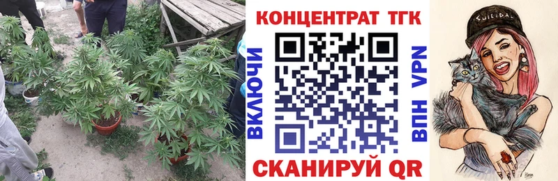 Дистиллят ТГК гашишное масло  где можно купить   МЕГА маркетплейс  Туапсе 